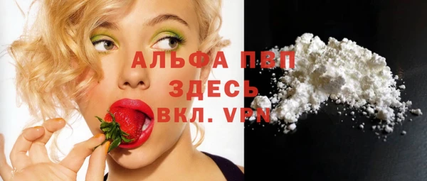 МДПВ Анжеро-Судженск