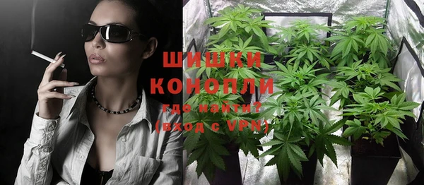 хмурый Анива