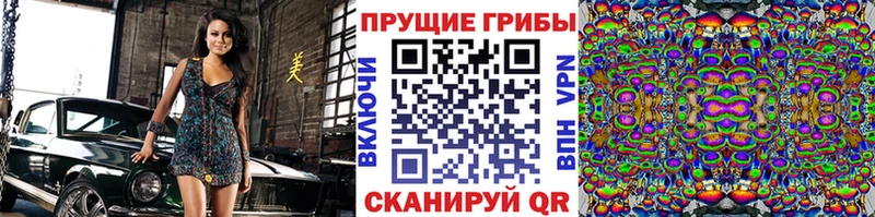 kraken как войти  Коряжма  Галлюциногенные грибы мицелий 